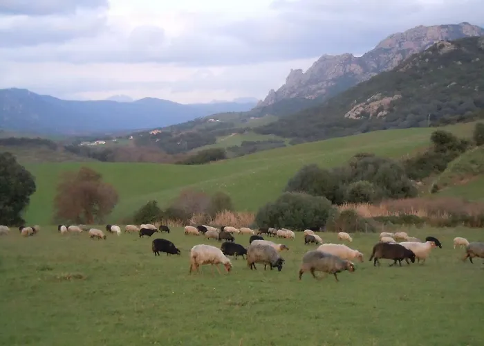 Vakantiehuis Maison De Campagne *